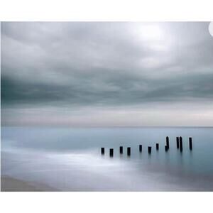 Haven Home WALL Decor Coastal Wrapped Canvas POSTS IN WATER 40" by 30" Gray